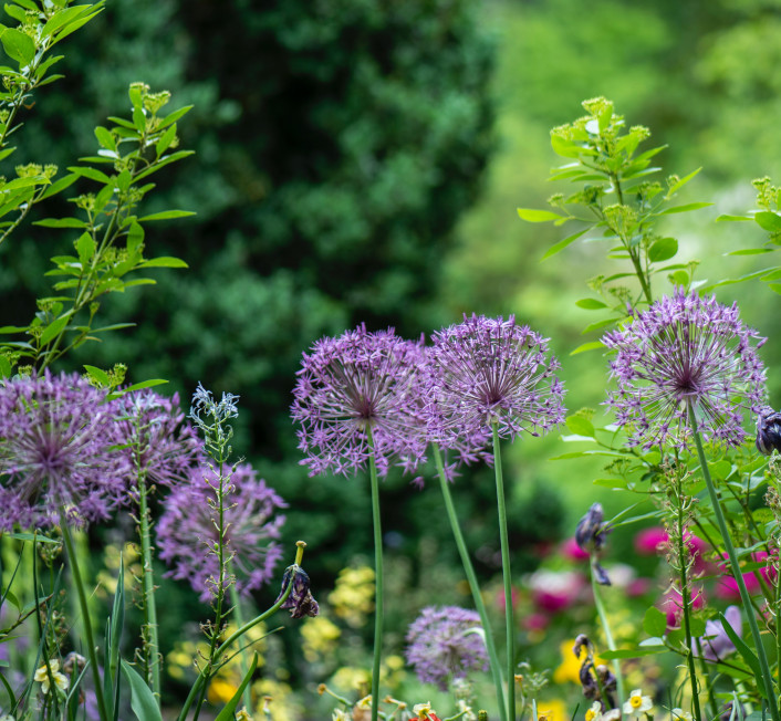 Garden maintenance packages